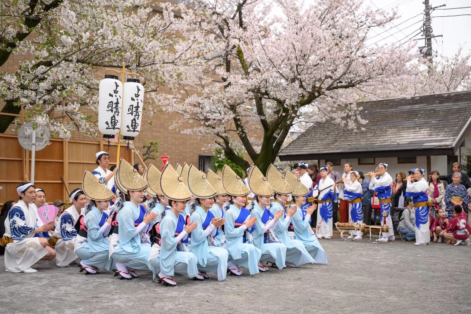 点睛連の演舞 1
